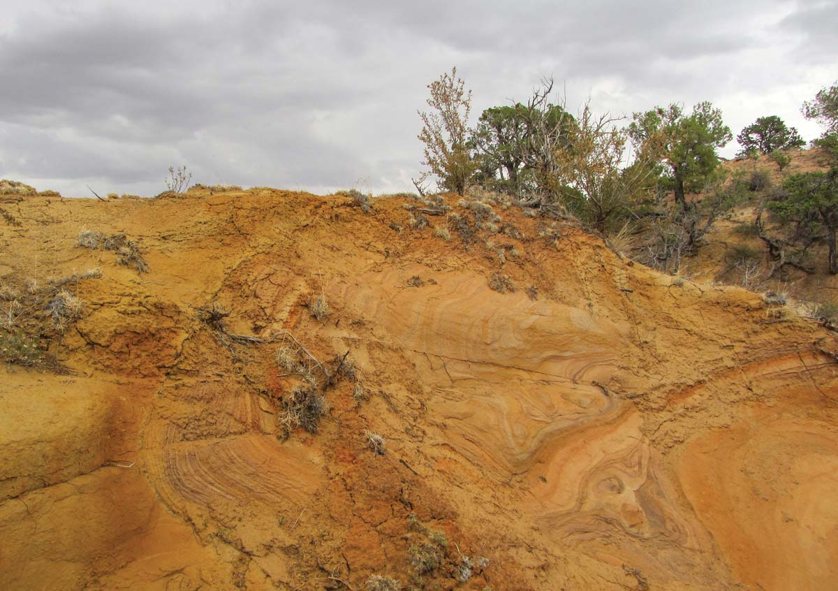 Landscape image of sandy clay soil embankment. 