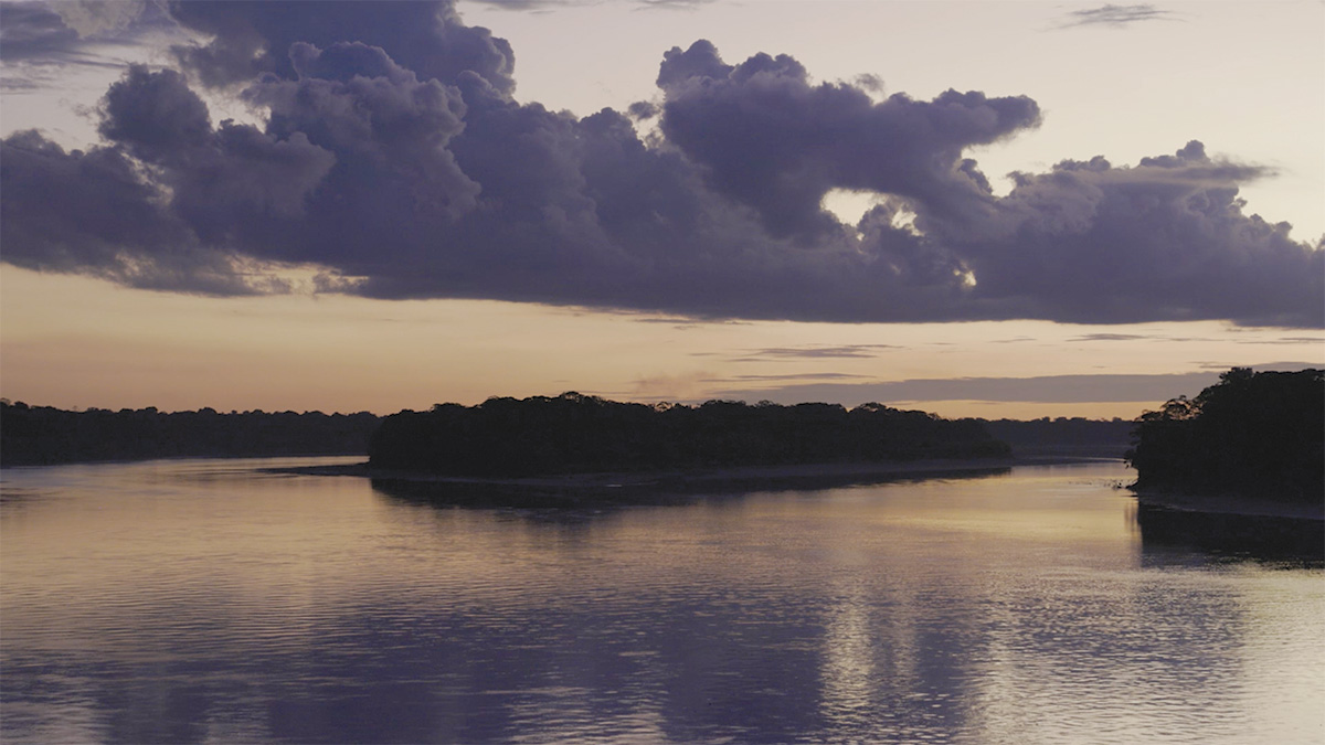The Amazon basin