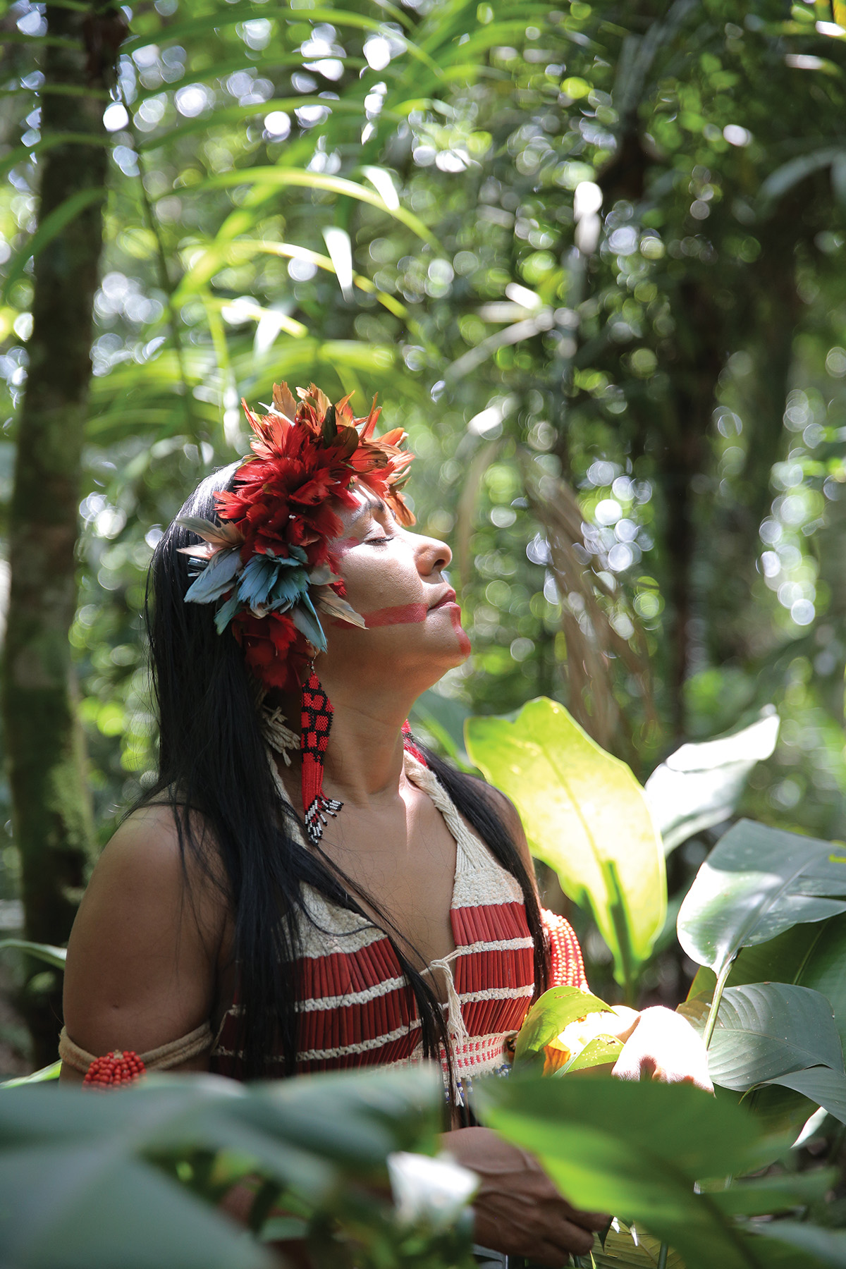 Puyr Tembé stands in a forest