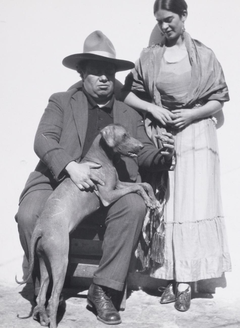 Mexico's Legendary Xoloitzcuintli, the Hairless Dog | NMAI Magazine, image size:950x1300