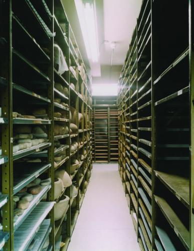 View of the storage area for archaeological objects