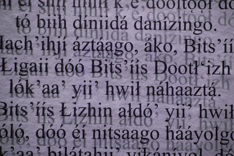 Raven Chacon, Still Life, #3, 2015 (detail).