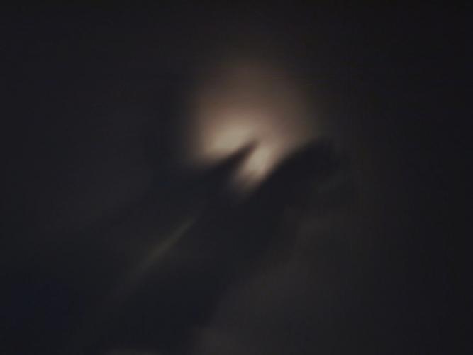 Stephen Foster, Raven Brings the Light, 2011 (installation details).