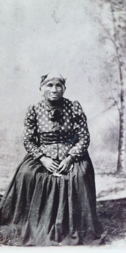 Tamer Brushell Sebastian