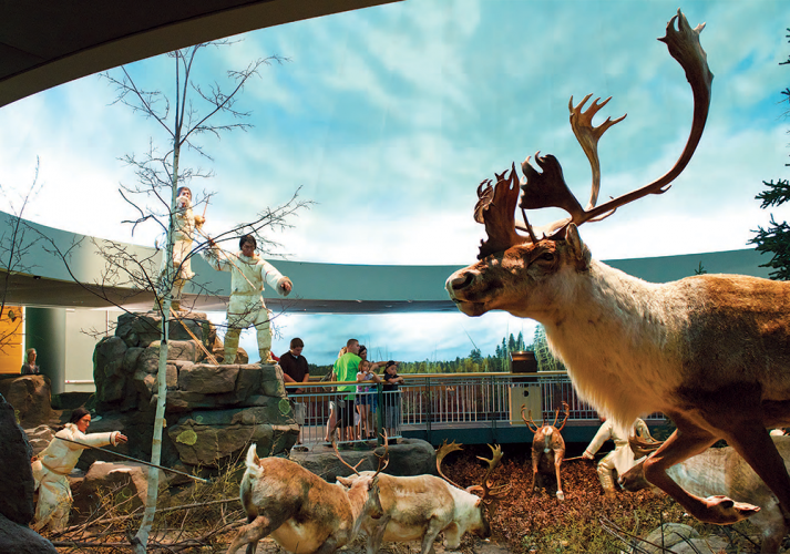pubLife in a Cold Climate Exhibit: The Caribou Hunt Diorama at the Mashantucket Pequot Tribal Museum.