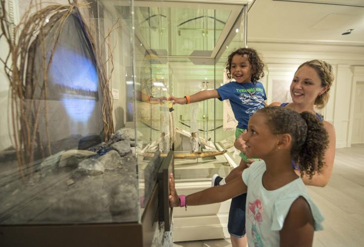 Walt Disney World Resort guests