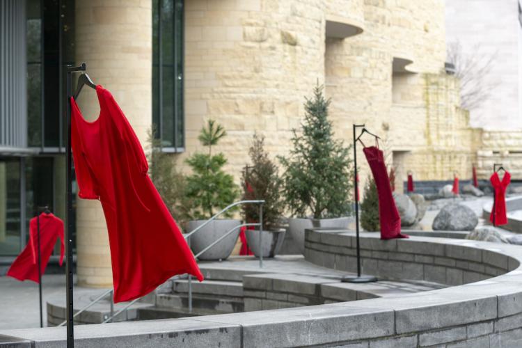 REDress Project installation