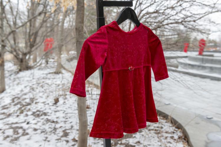 REDress Project installation