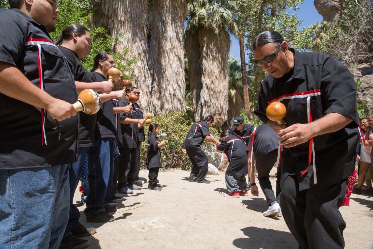 Cahuilla bird singers dance with rattles made of dried gourds