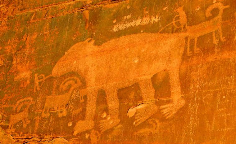 Painting of animal on rock wall