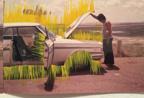 Detail of several segments from Stalled. Photo by Phoebe Ferris