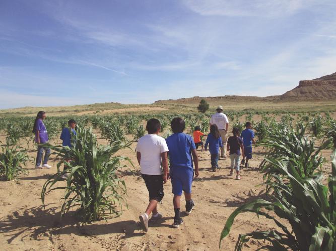 Children in corn field