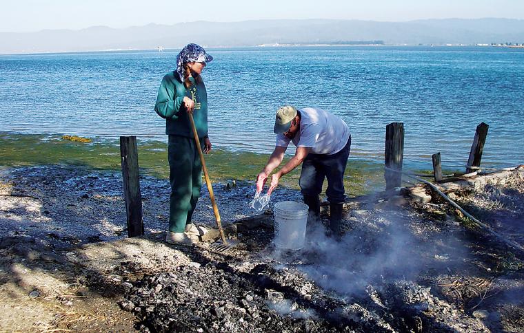 Volunteers cleaning island