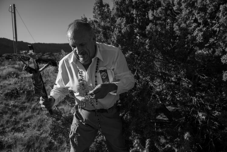 Dexter Trujillo Gathering Mistletoe from a Juniper Tree