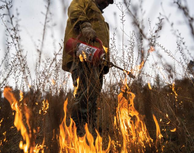 Danny Manning uses a drip torch to direct streams of flame to ignite a meadow