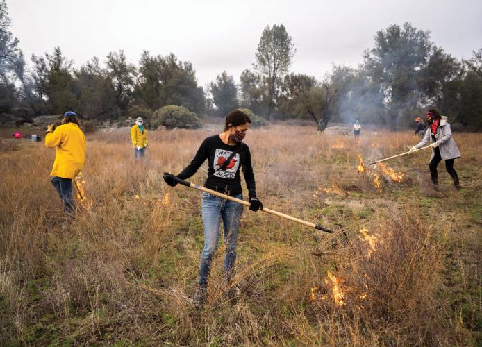 Using Fire to Fight Fire California Tribes' Cultural Burns Restore
