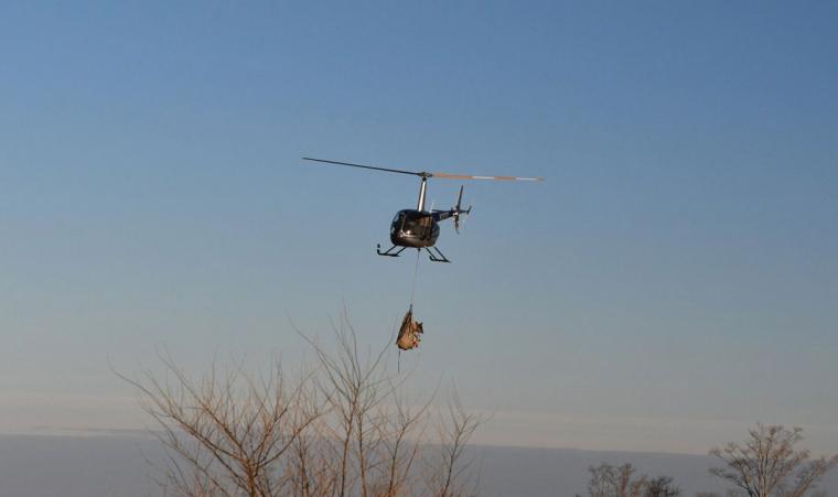 An elk being carried through the air by a helicopter
