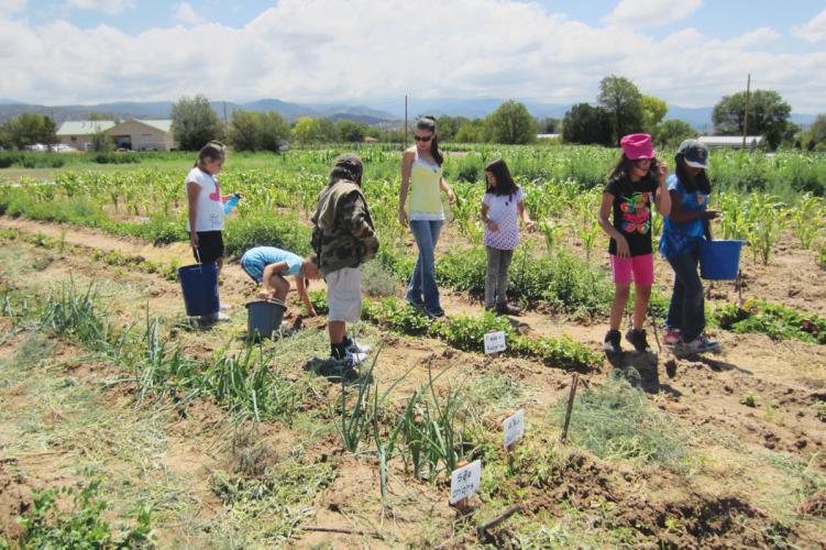 Children and instructors walk through crop fields at the Pueblo of Nambe Community Farm in New Mexico