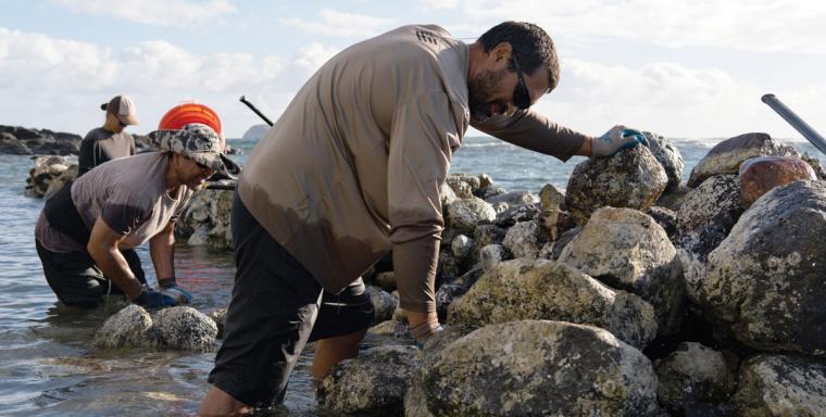 People rebuilding a fishpond stone wall.