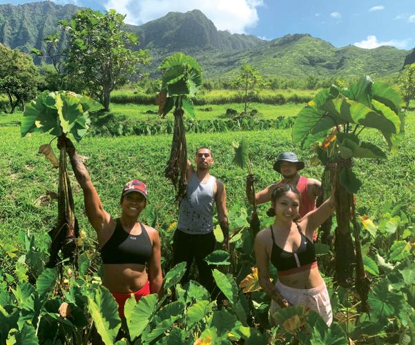 Students hold up harvested taro, showing its bulbous roots 