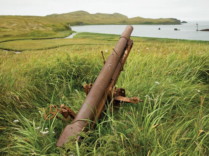 A rusted military gun sits in the tall grass overlooking the water.