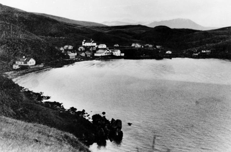 A black and white image of houses built at the base of the mountain, right next to the water.