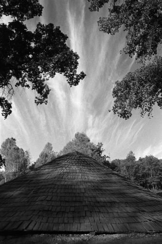 A black and white image of a roundhouse silhouetted against a clouded skies and overhanging bushy trees.