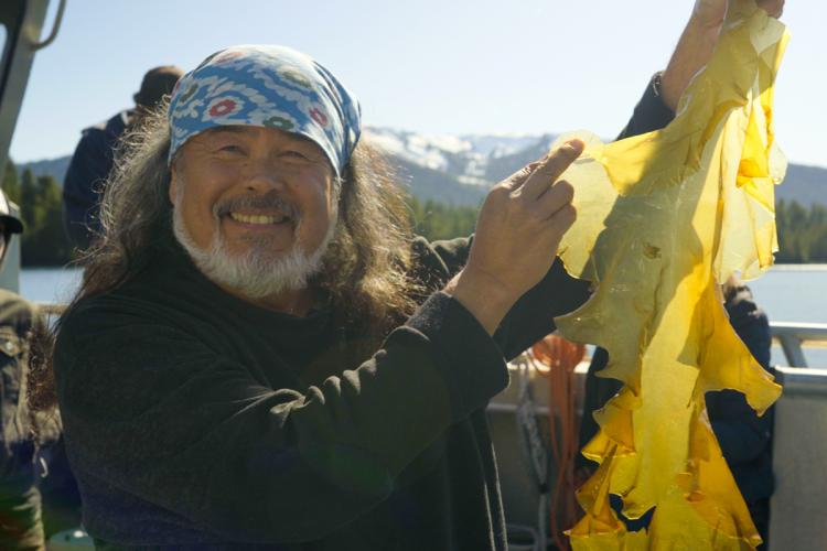 A man on a boat holds up harvested sugar kelp