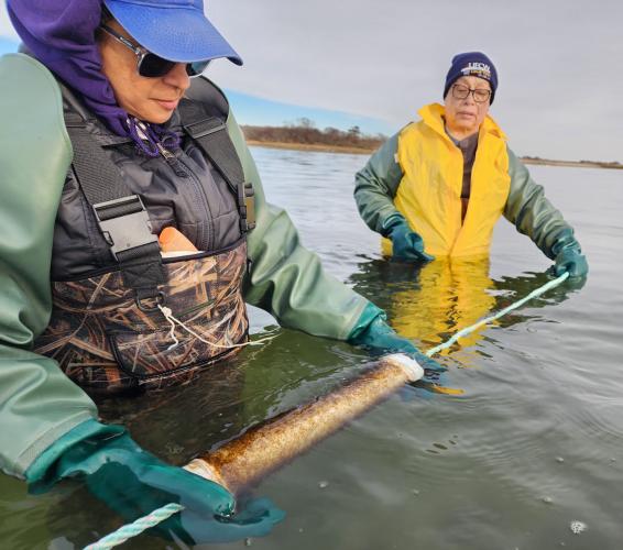 Two women standing in the bay look at kelp spores.