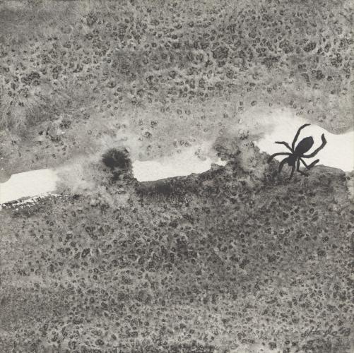 Ink drawing featuring a spider.