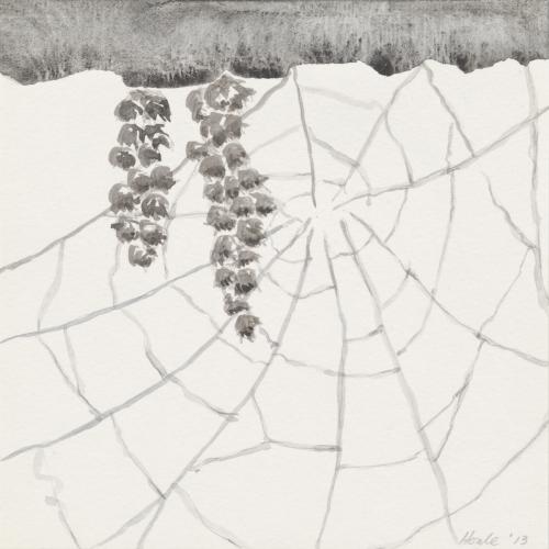 An ink drawing featuring a spider's web.