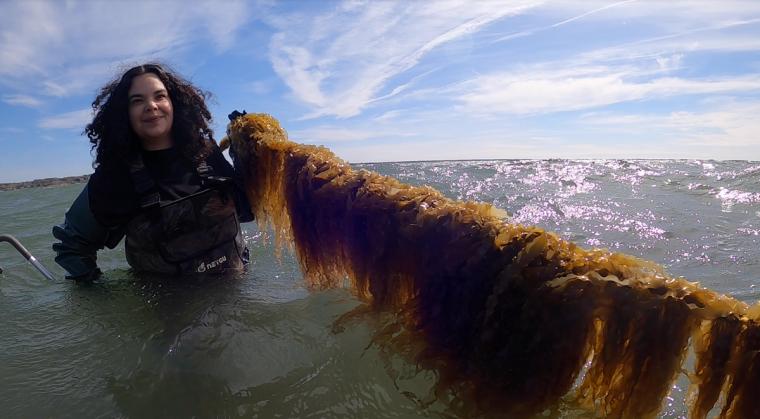 A Shinnecock woman smiles and lifts a line of kelp out of the bay.