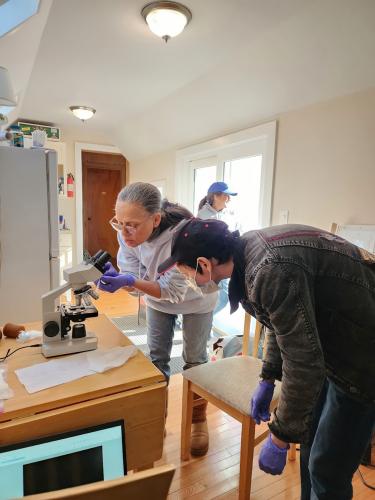 Two women bend over to look through a microscope in a lab.