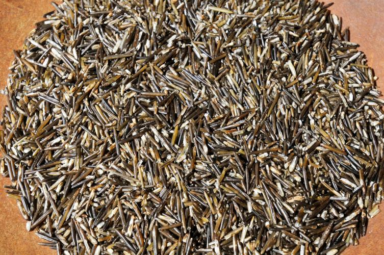 A close up of the dried wild rice.