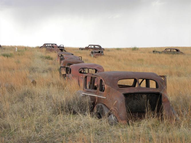 A row of rusted, antique car bodies in a grassy landscape