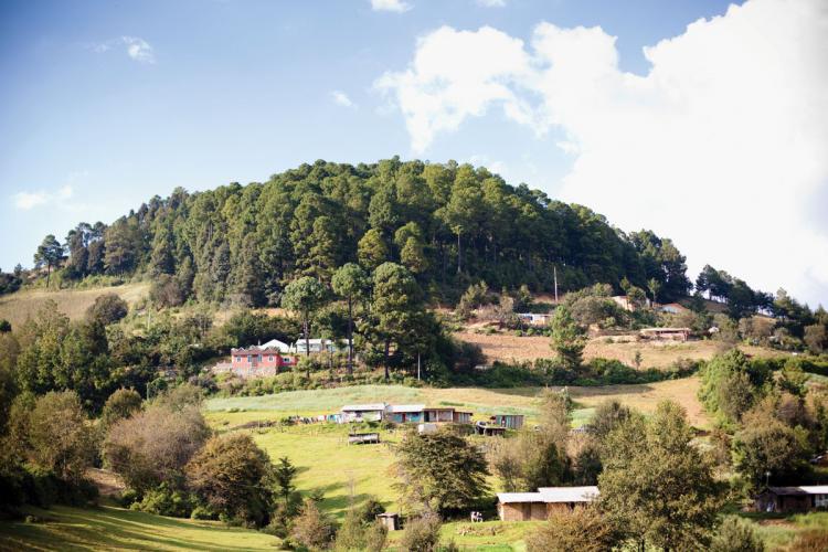 Buildings, open fields, and stands of trees on a hillside