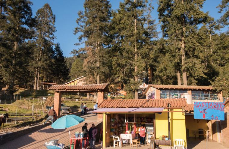 A scene of small shops and people in a forested area