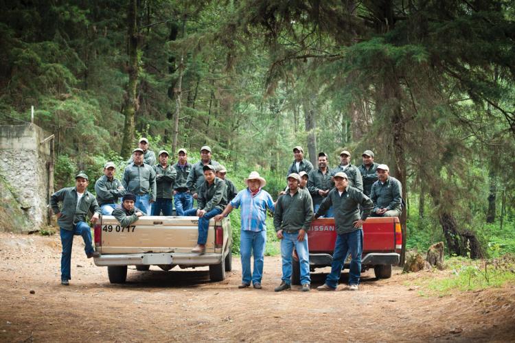 Two patrol trucks carrying 19 men, pictured in the forest
