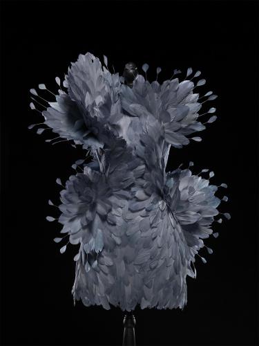 Photograph of a feathered dress