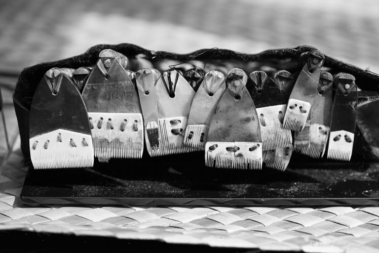A set of traditional tattooing tools made of albatross bone and wood