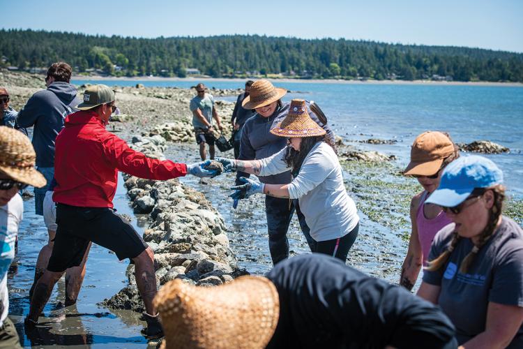 A group of people work together to reinforce a stone wall along a Pacific coastline