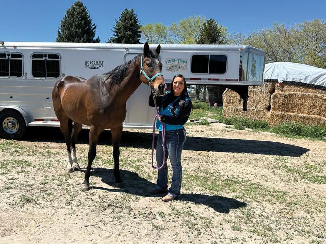 A person stands holding the reigns of a horse
