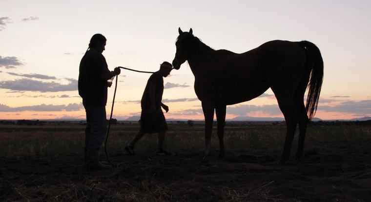 Two people and a horse silhouetted against a dusky sky