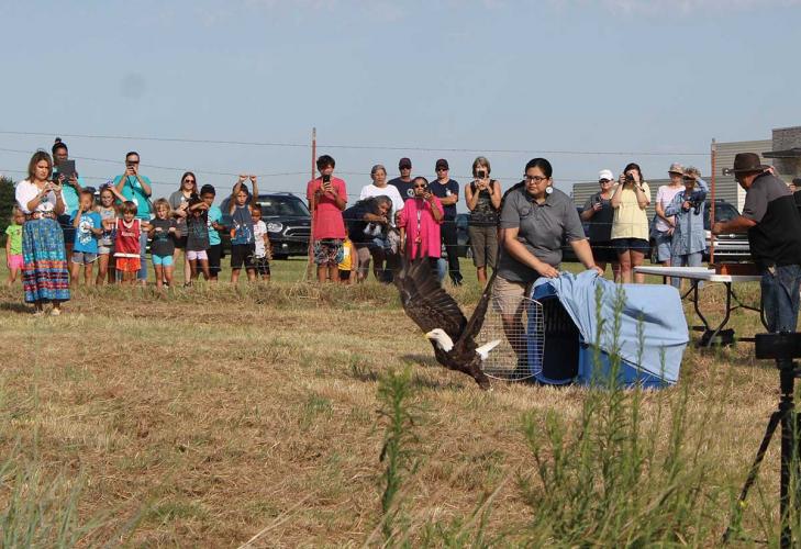 An eagle takes flight out of a carrier in front of a crowd of people