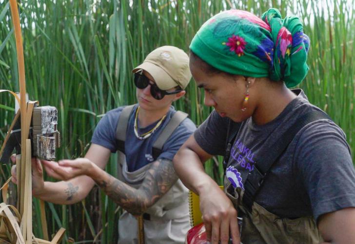 Two people collecting data from a trail camera surrounded by tall wetland grasses