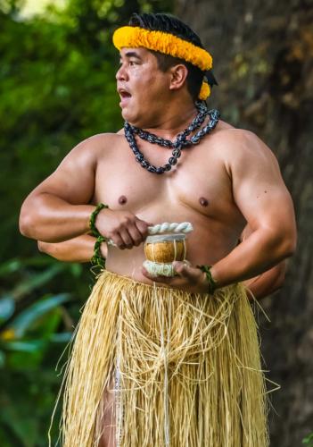 Hula performer in yellow floral crown and grass skirt plays small drum