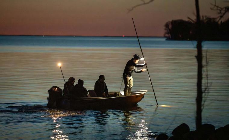 Person holding a spear on a boat at dusk