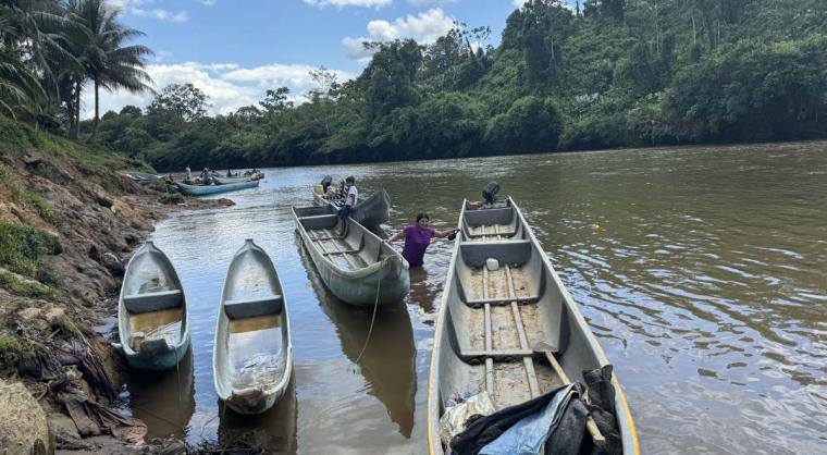 Woman standing in river alongside a series of canoes.