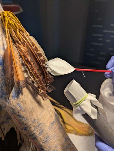 A feather brush used to gently remove crystals from delicate artifacts.