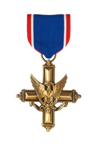 Full color image of the Distinguished Service Award medal
